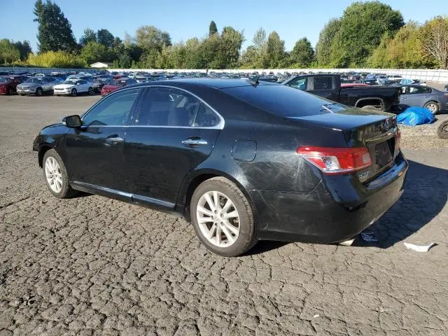 2010 LEXUS ES 350