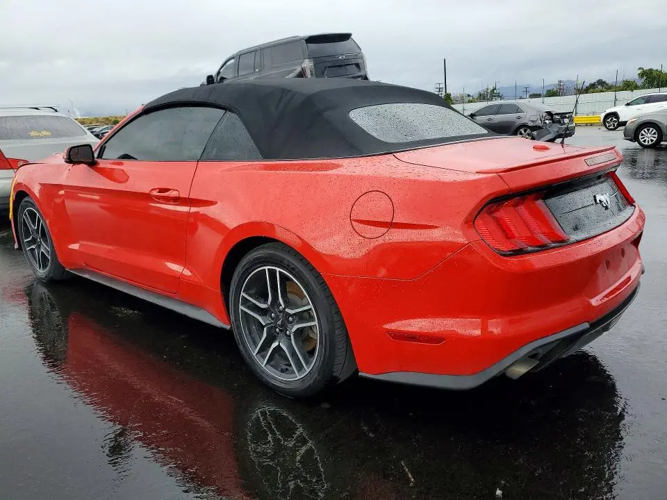 2019 FORD MUSTANG   