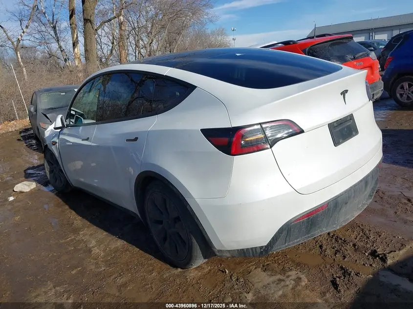 2024 TESLA MODEL Y RWD