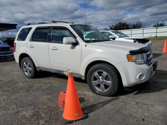 2010 FORD ESCAPE LIMITED