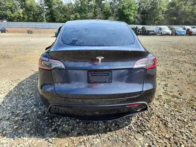 2025 TESLA MODEL Y   