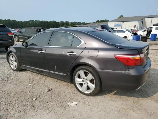 2010 LEXUS LS 460  