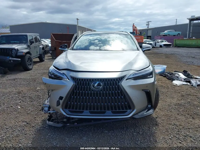 2024 LEXUS NX 350H LUXURY
