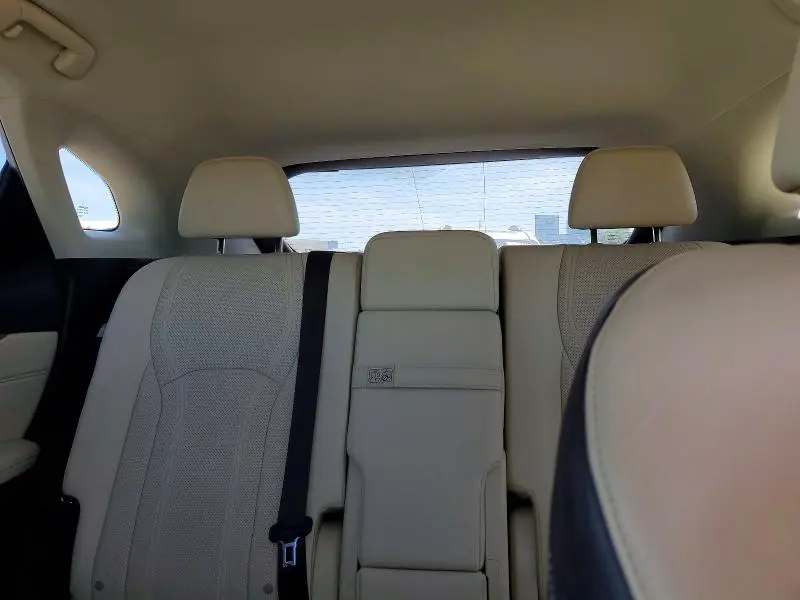2019 LEXUS RX   
