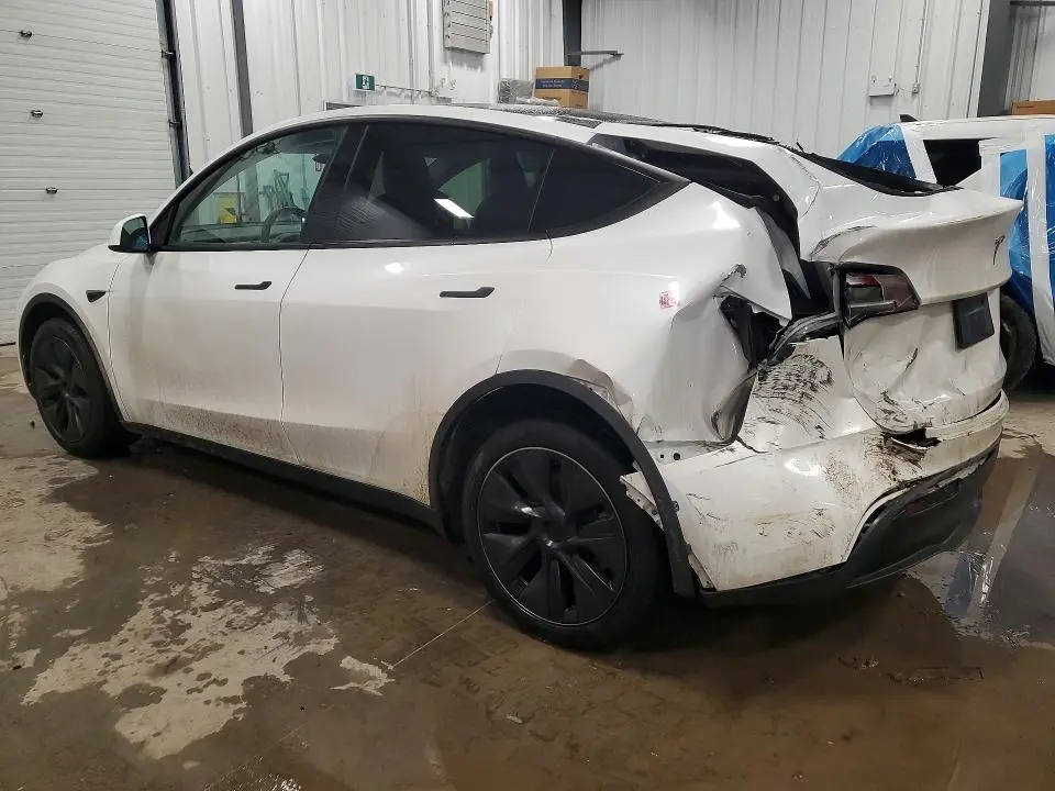 2025 TESLA MODEL Y   
