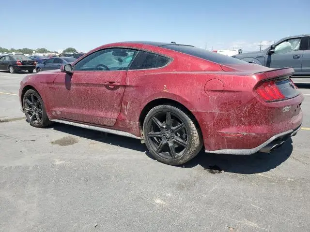 2019 FORD MUSTANG   