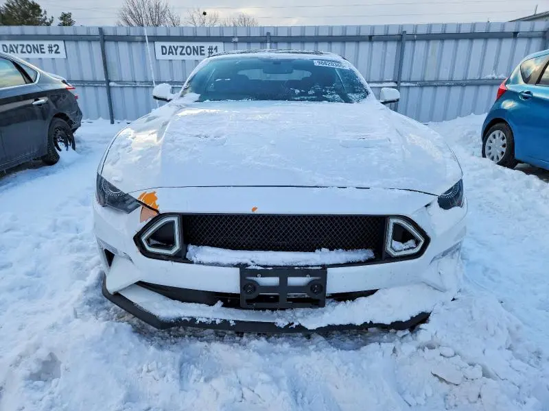 2019 FORD MUSTANG GT  