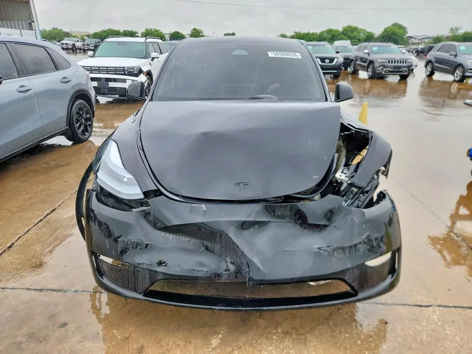 2025 TESLA MODEL Y   