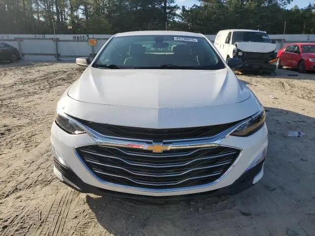 2019 CHEVROLET MALIBU LS  