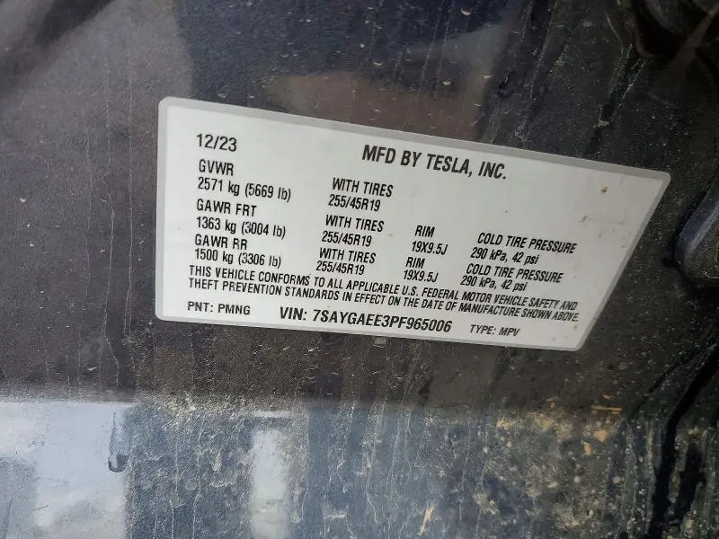 2023 TESLA MODEL Y   