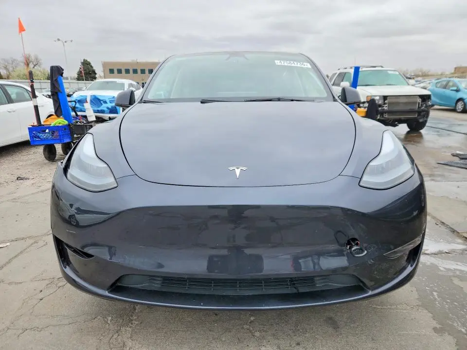 2025 TESLA MODEL Y   