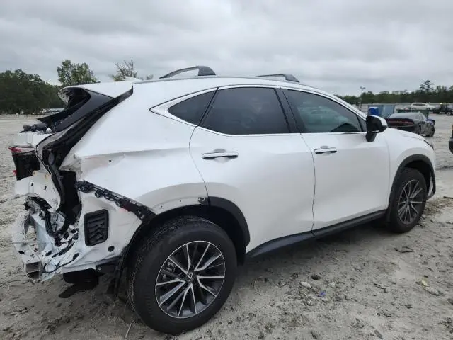 2025 LEXUS NX 250 BASE  