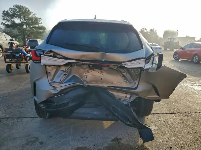 2025 LEXUS NX 250 PREMIUM  