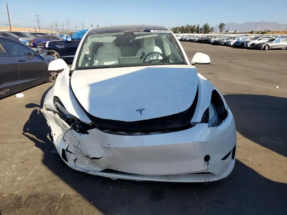 2021 TESLA MODEL Y   