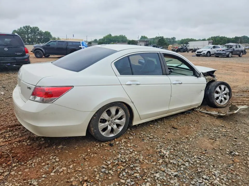2010 HONDA ACCORD EXL  