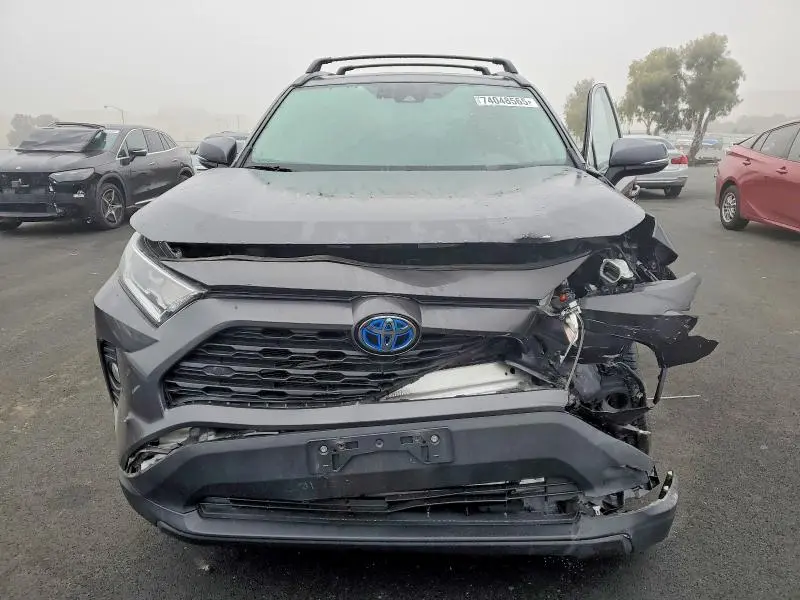 2019 TOYOTA RAV4 XLE  