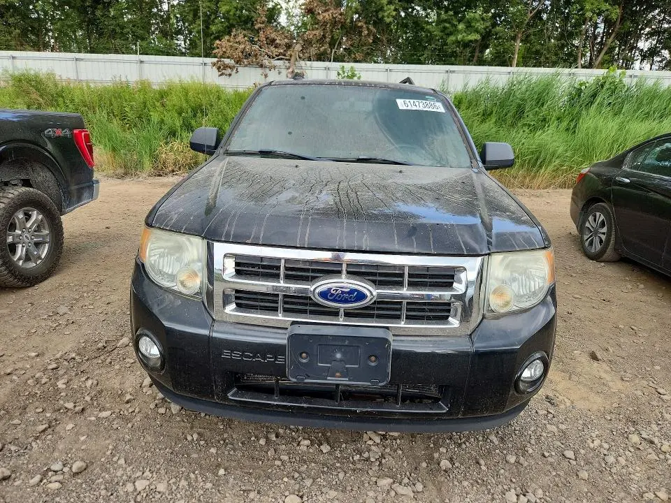 2011 FORD ESCAPE XLT  