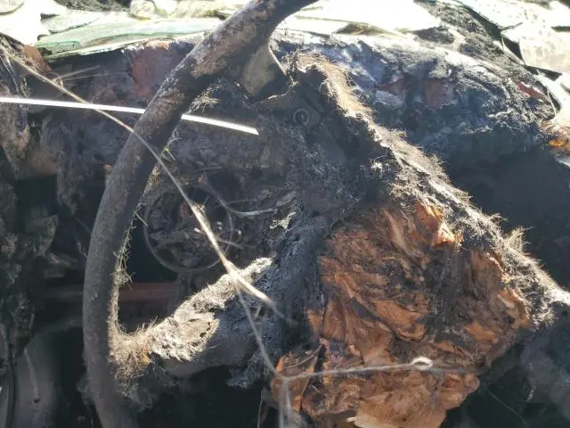 2010 DODGE CHARGER SXT  