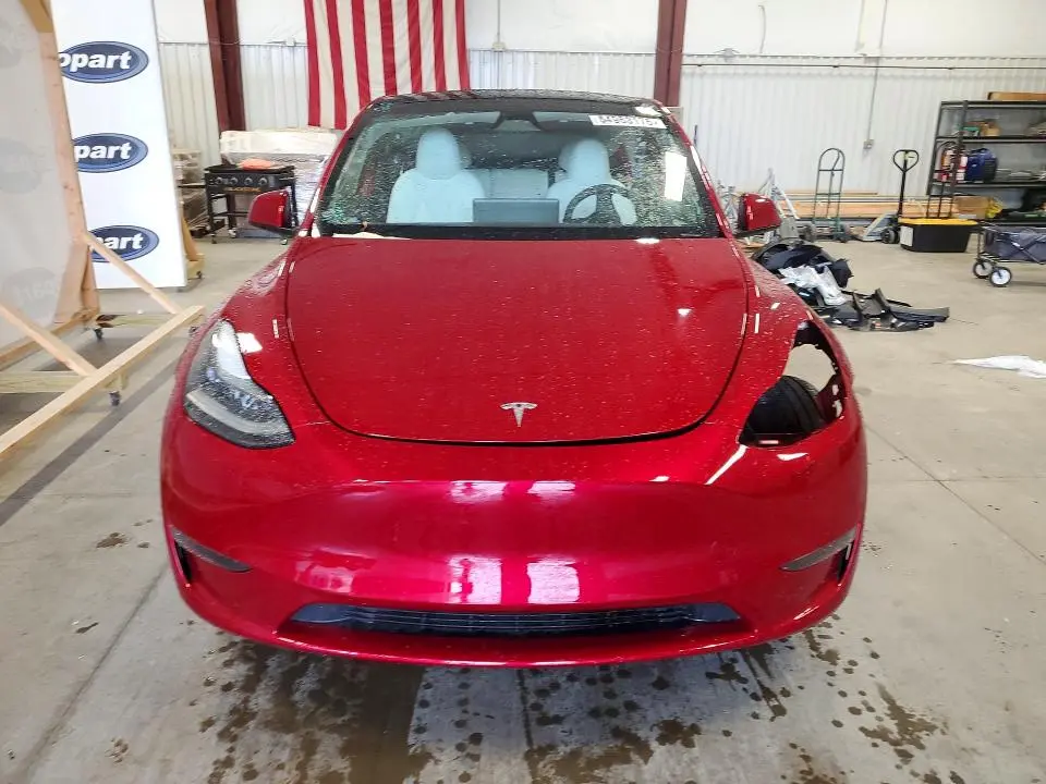 2025 TESLA MODEL Y   