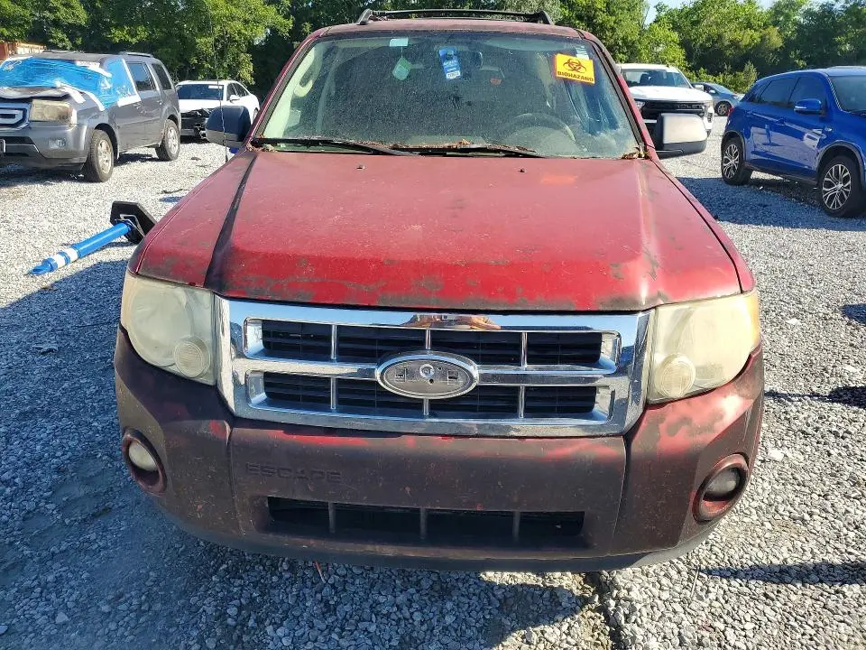 2010 FORD ESCAPE XLT  