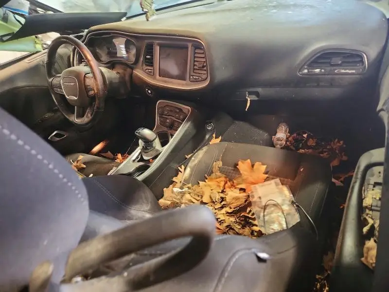 2022 DODGE CHALLENGER SXT  