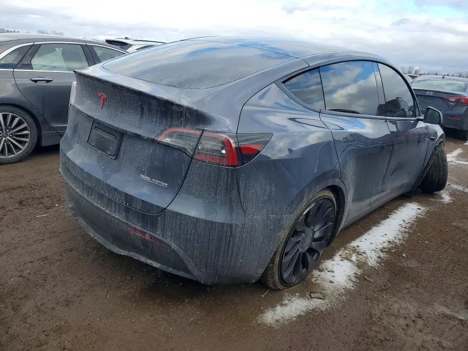 2023 TESLA MODEL Y   