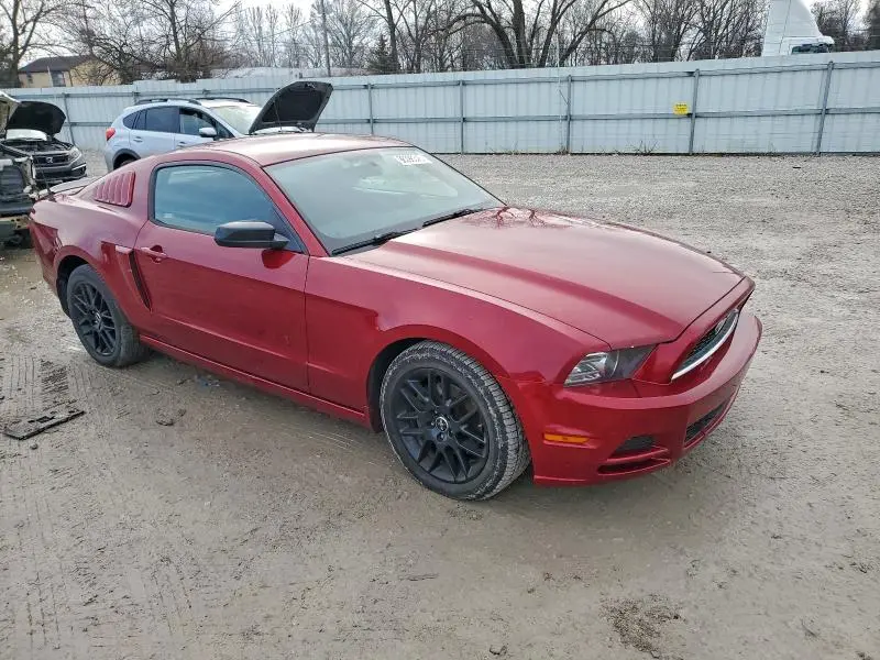 2014 FORD MUSTANG   