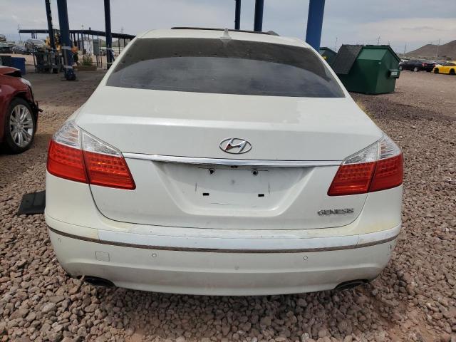 2010 HYUNDAI GENESIS 3.8L