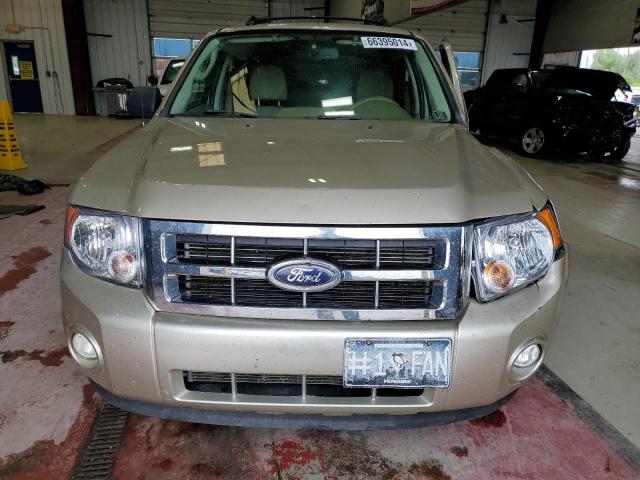 2012 FORD ESCAPE XLT