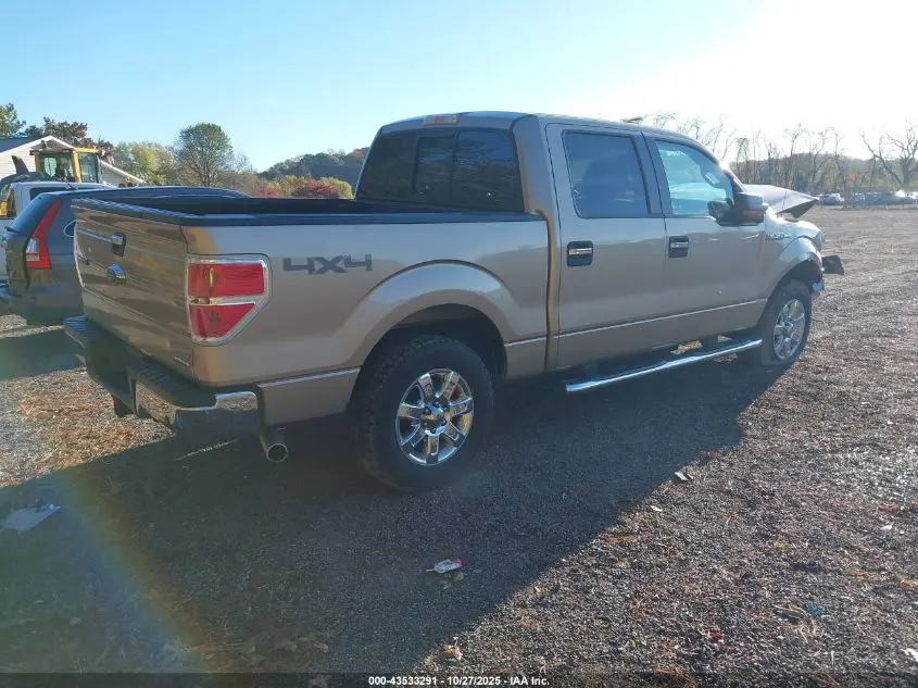 2013 FORD F-150 XLT