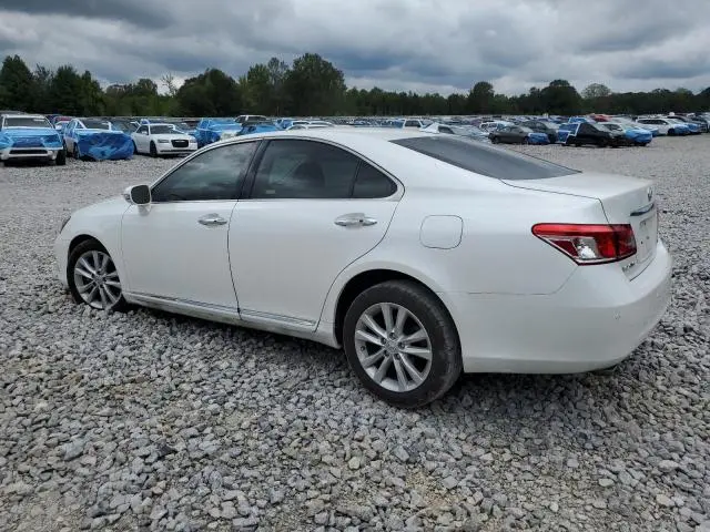 2010 LEXUS ES 350  