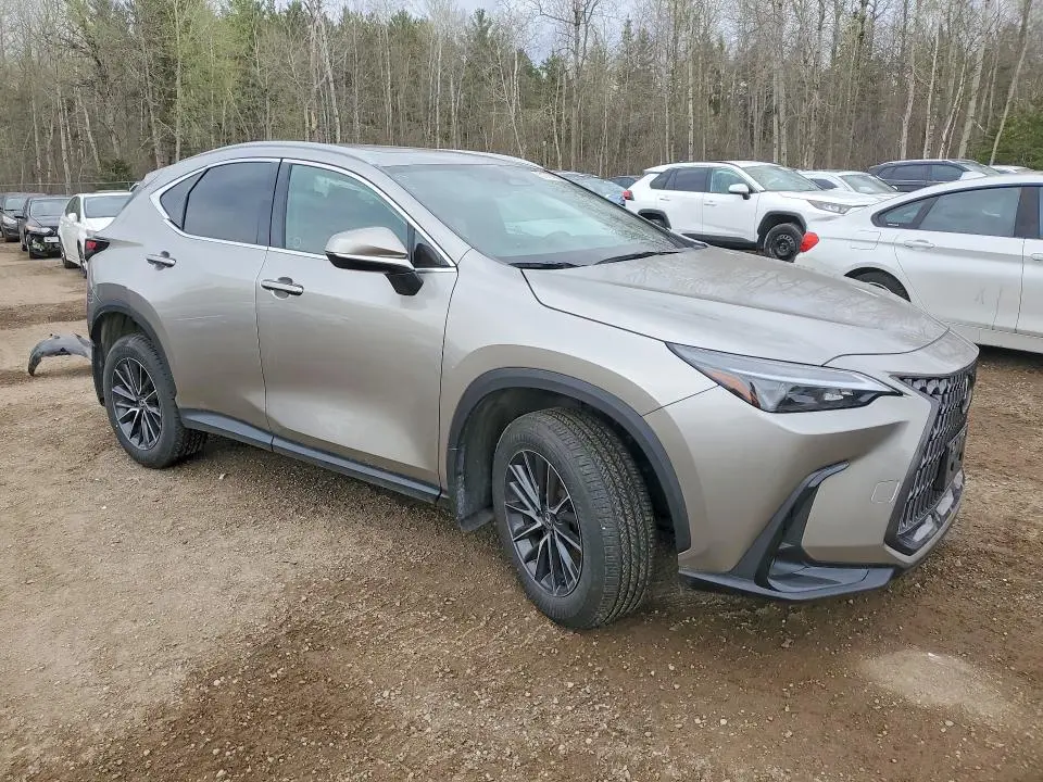 2024 LEXUS NX 350H PREMIUM  