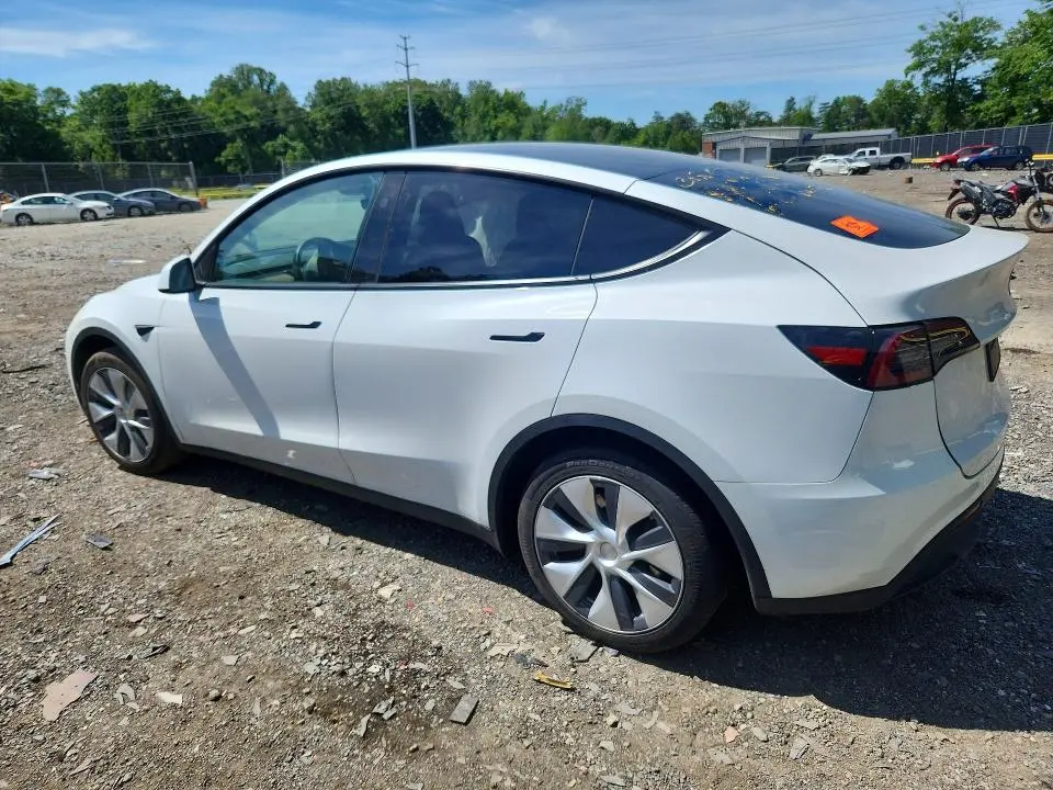 2024 TESLA MODEL Y   