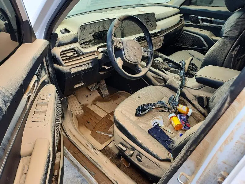 2025 KIA TELLURIDE EX  