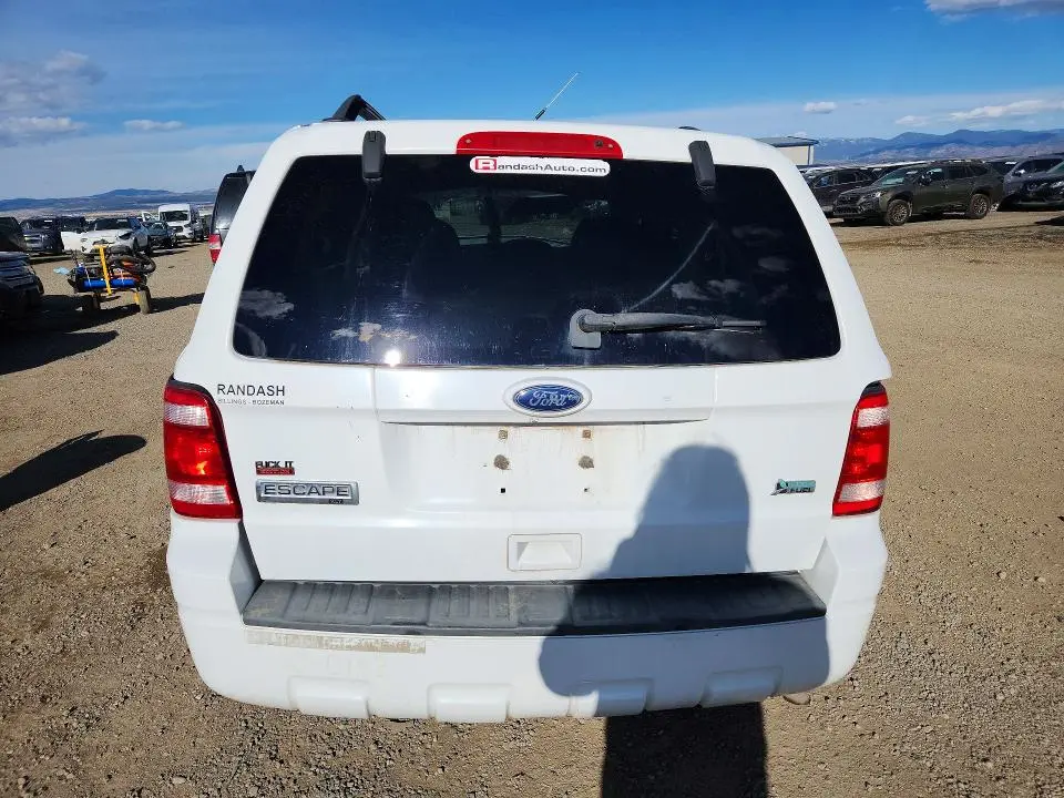 2010 FORD ESCAPE XLT  