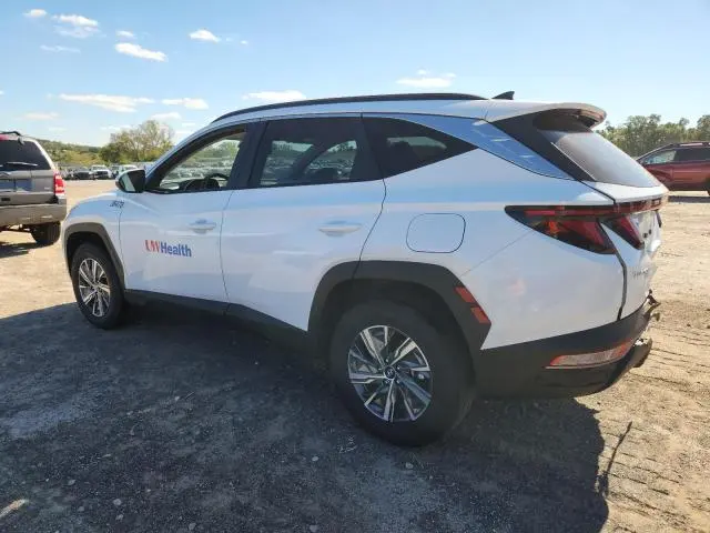 2024 HYUNDAI TUCSON BLUE  