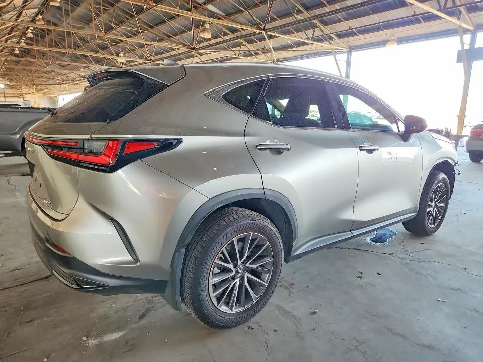 2025 LEXUS NX   