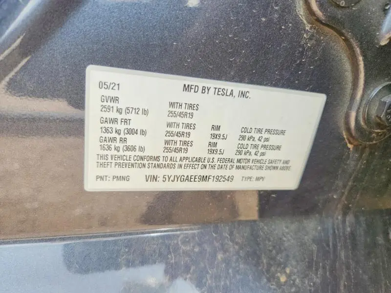 2021 TESLA MODEL Y   
