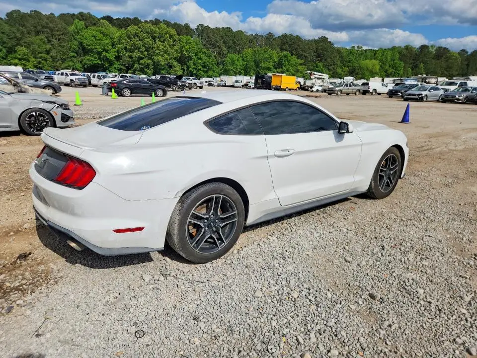 2019 FORD MUSTANG   