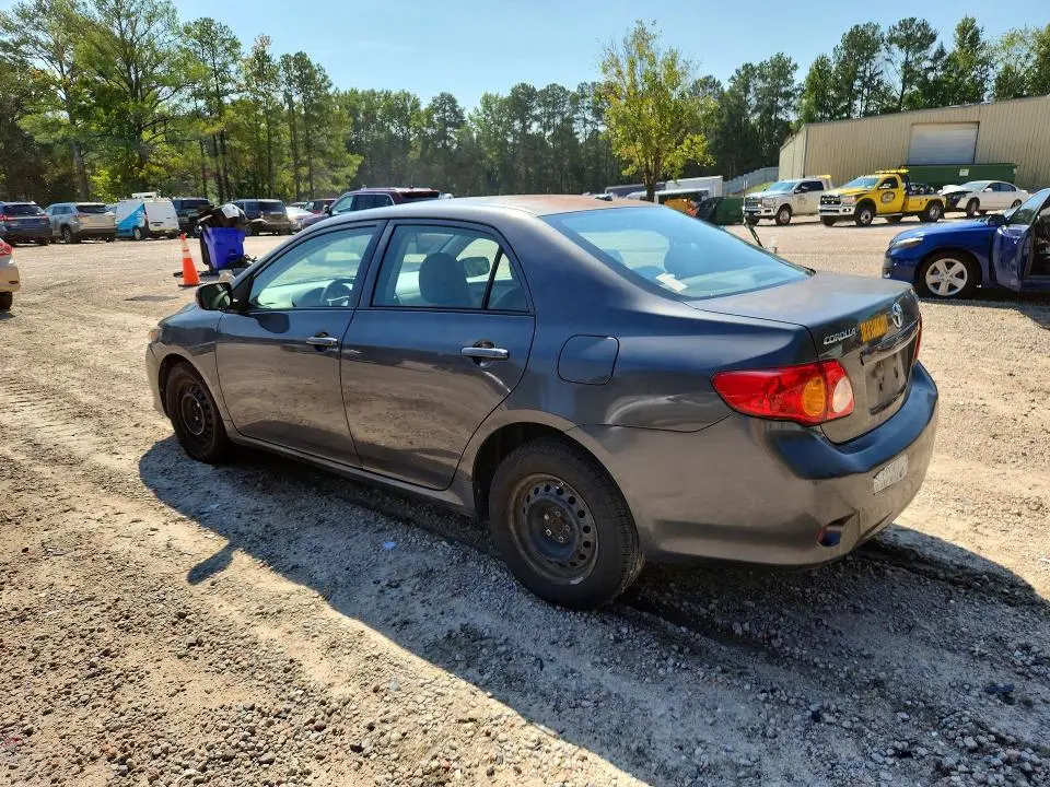 2010 TOYT COROLLA LE   