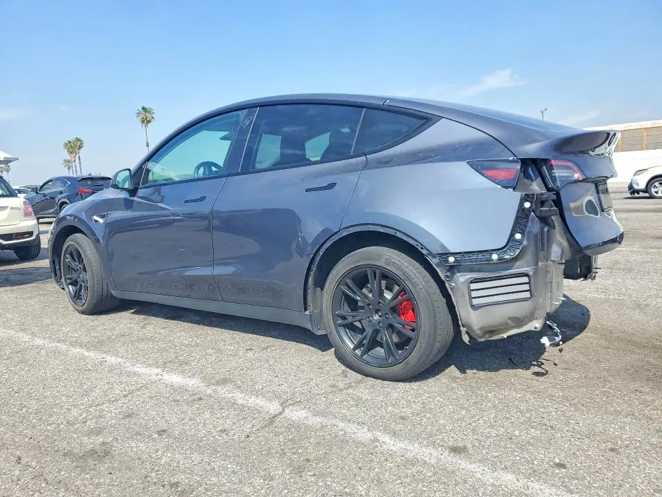 2021 TESLA MODEL Y   