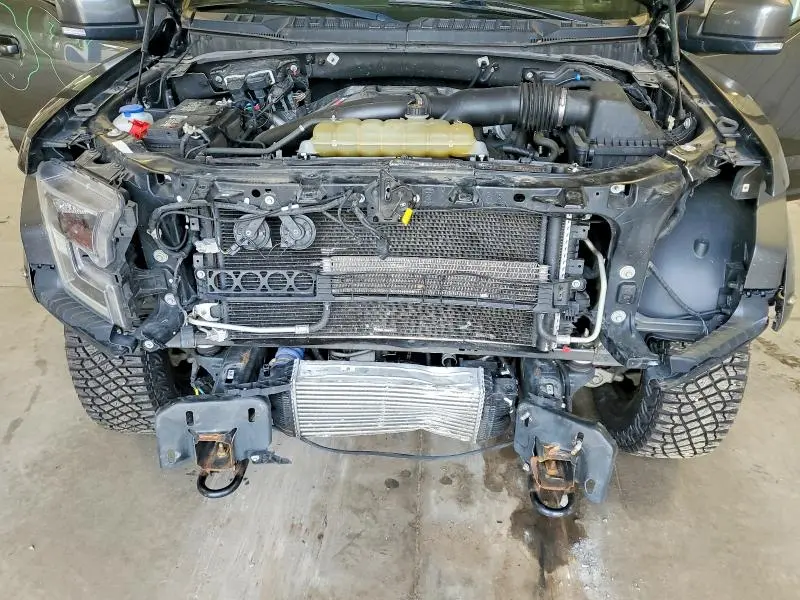 2019 FORD F150 RAPTOR  