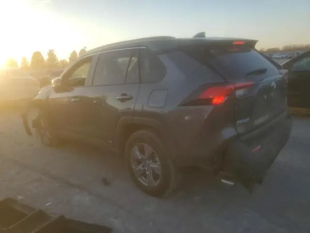 2025 TOYOTA RAV4 XLE  