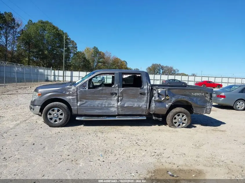2014 FORD F-150 XLT