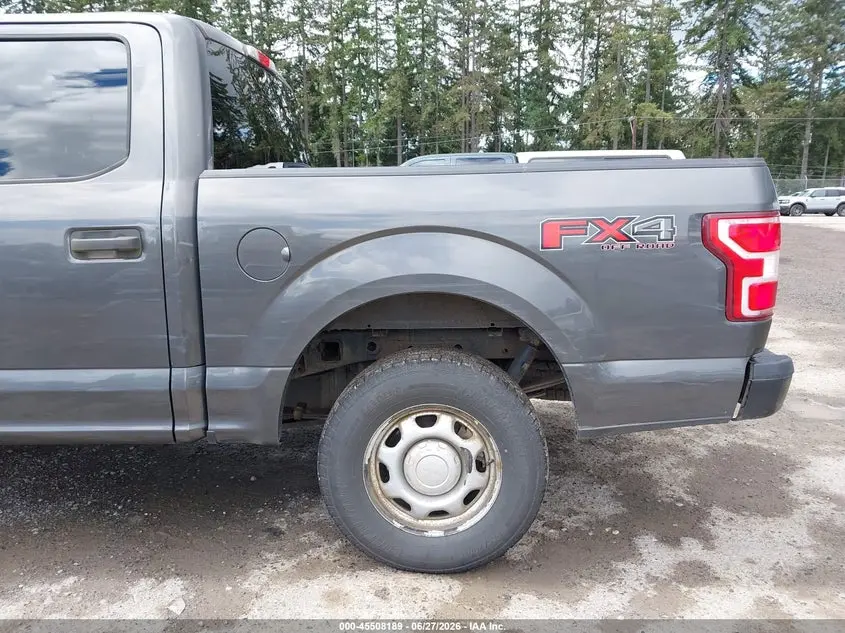2019 FORD F-150 KING RANCH/LARIAT/PLATINUM/XL/XLT