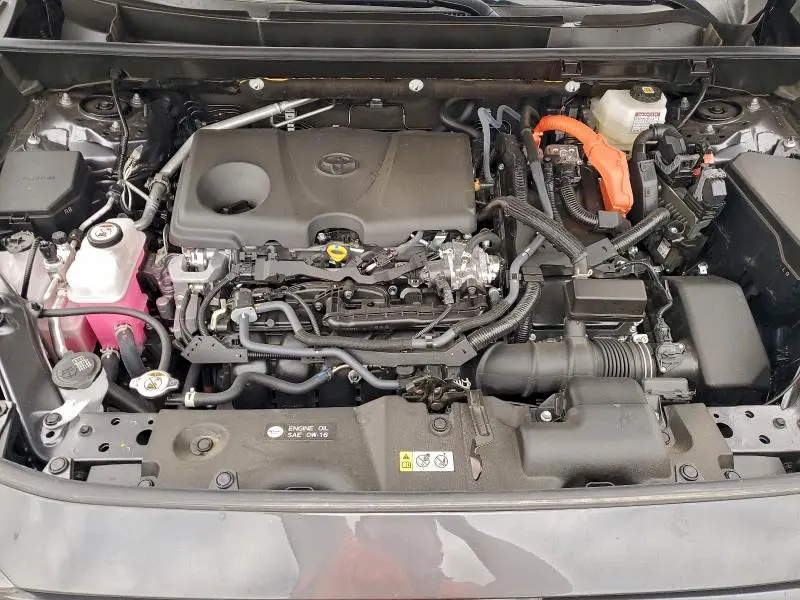 2025 TOYOTA RAV4 XSE  