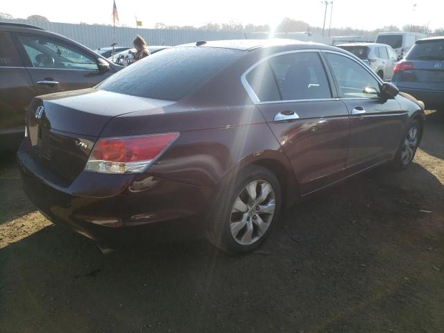 2010 HONDA ACCORD EXL