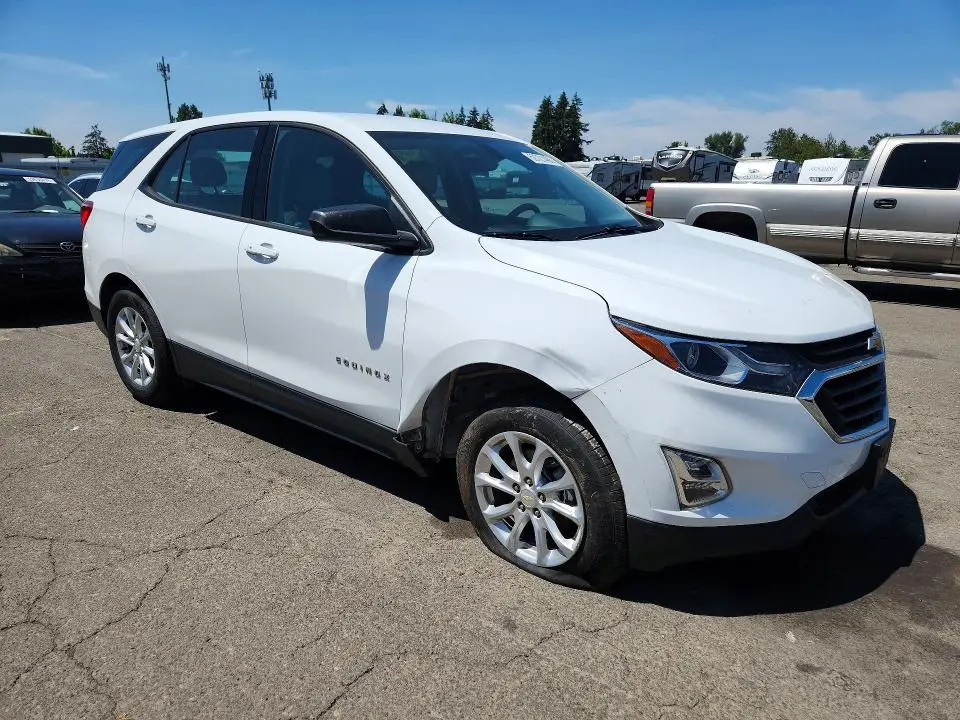 2019 CHEVROLET EQUINOX LS  