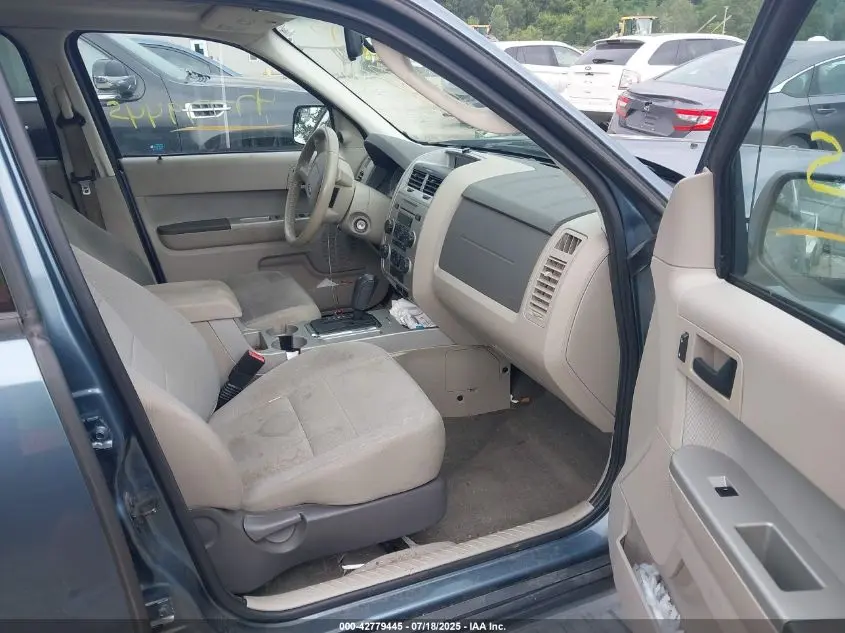 2011 FORD ESCAPE XLT
