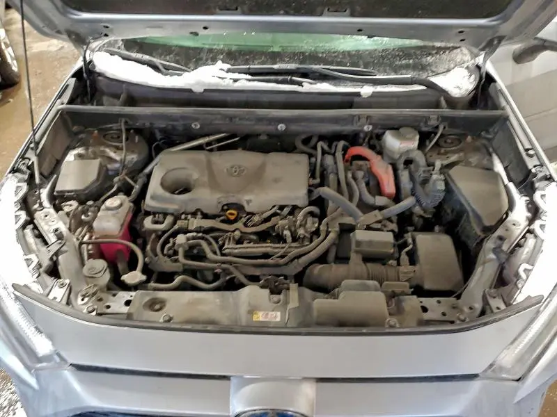 2023 TOYOTA RAV4 SE  